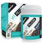 473317Envejecer con vitalidad y equilibrio con Vitallium Prevención enfermedades degenerativas acción antioxidante antiinflamatoria Ajo negro Arándano azul Maqui tegor 1