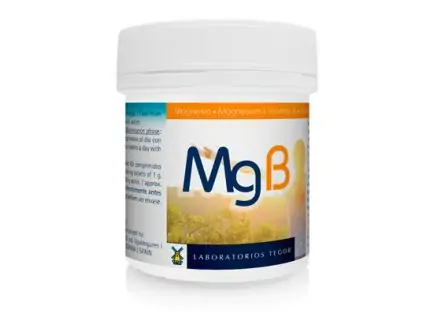 489575 Mejora los músculos y huesos con MgB osteoarticular sistema nervioso salud corazón Carbonato magnesio Vitamina B3 B2 B6 B1 B12 laboratorios tegor 1