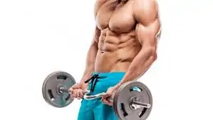 Preparaciones Rutinas Dietas Protis